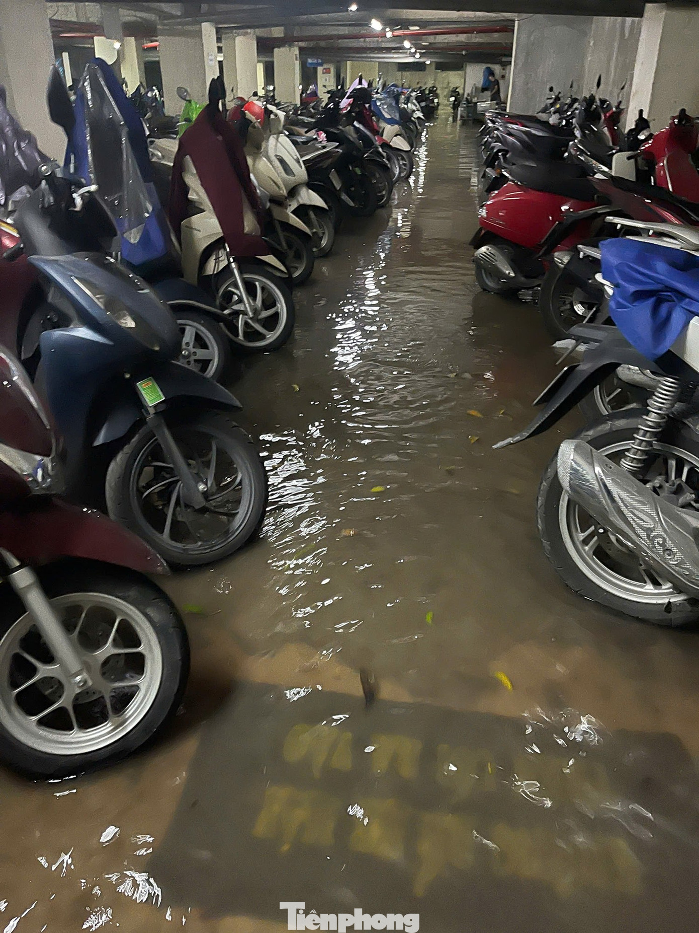 Nước dâng nhanh khiến bảo vệ và cư dân không kịp di chuyển