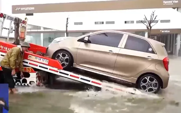 Ảnh minh họa bảo hiểm vật chất xe ô tô